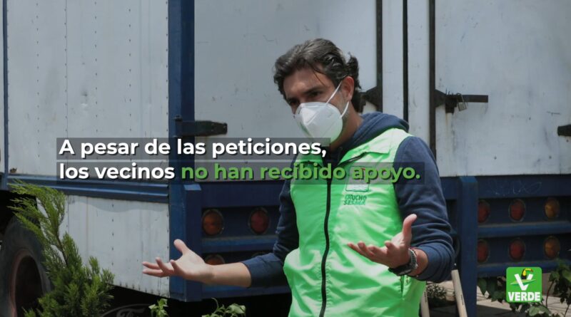 CHUCHO SESMA JUNTO AL PARTIDO VERDE, HACEN LLAMADO A LAS AUTORIDADES PLANTANDO ÁRBOLES EN BACHES DE DISTINTAS ALCALDÍAS DE LA CDMX.