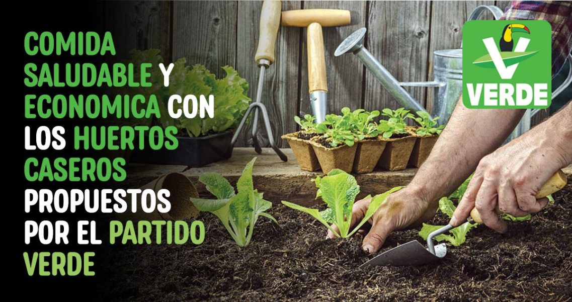 ¡Transforma Tu Ciudad con Huertos Urbanos!