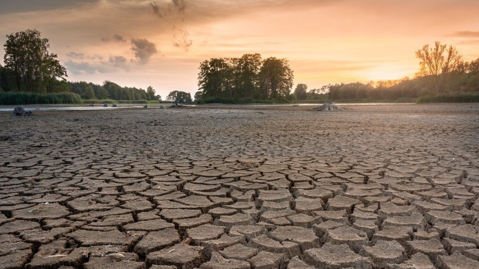 Sequía afecta el 74 por ciento de México, estos son los estados que más sufren por la falta de agua